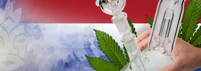 Nazioni Più Tolleranti Nei Confronti Della Cannabis: Paesi Bassi